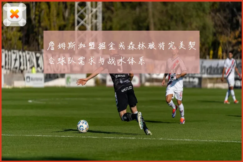 詹姆斯加盟掘金或森林狼将完美契合球队需求与战术体系